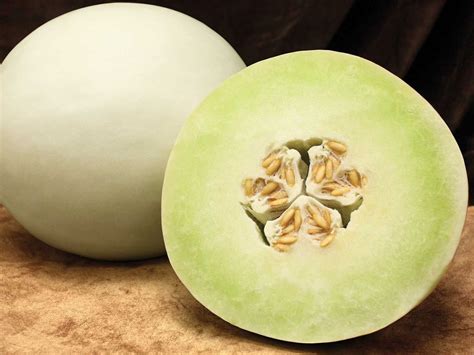 Dulce Nectar F1 Hybrid Sweet Melon Sakata