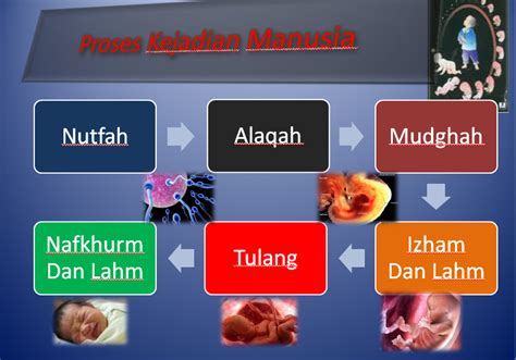 Proses Kejadian Manusia Menurut Al Quran Dan Hadits Mobile Legends