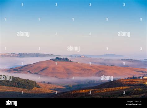 Crete Senesi Landscape In Tuscany Italy On A Foggy Summer Dawn Stock