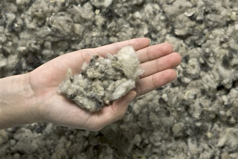 Wool Insulation Slow Space