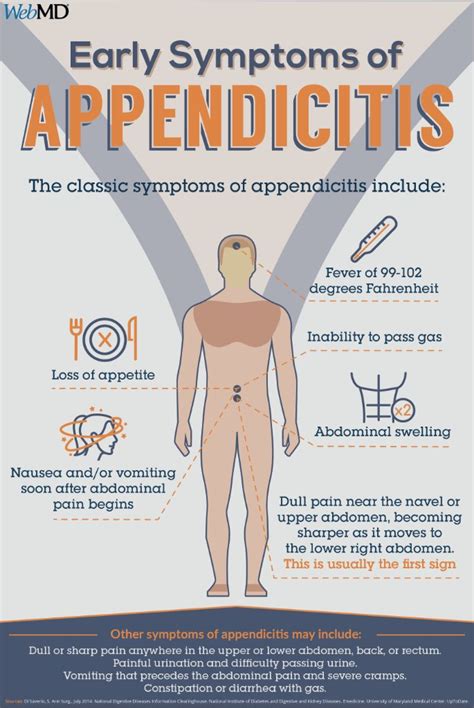 Appendicitis Medical Emergency Requires Prompt Surgery Remove Appendix