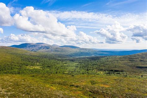 Hetta Pallas On Suomen Vanhin Patikka 55 Kilometrin Vaellus Tarjoaa