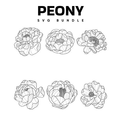 Silhouette Peony Svg Masterbundles