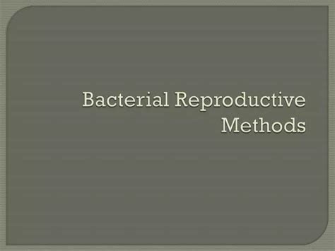 Ppt Bacterial Reproductive Methods Powerpoint Presentation Free