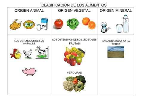 Clasificación De Los Alimentos