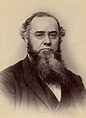 Posterazzi: Edwin M Stanton N(1814-1869) American Lawyer And Public ...