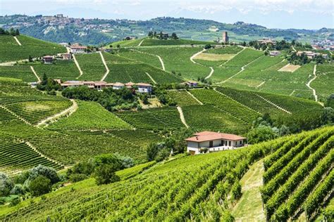 Vineyards Of Langhe Monferrato Inscribed Onto Unesco World Heritage