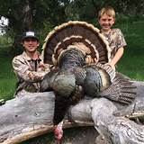 California Turkey Hunting Outfitters Photos