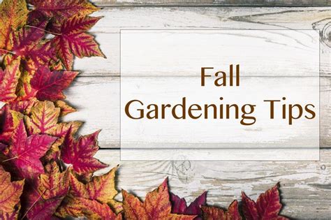 Fall Gardening Tips Autumn Garden Gardening Tips Greenhouse Gardening