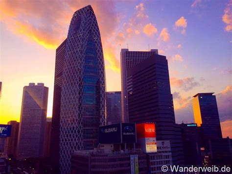 Wir verraten euch unsere 16 besten tokio reisetipps. Shinjuku Tokyo | Shinjuku tokyo, Skyscraper, Tokyo