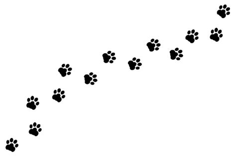 Black Footprints Of Dogs Paw Print Animal Tracks Vector Stock