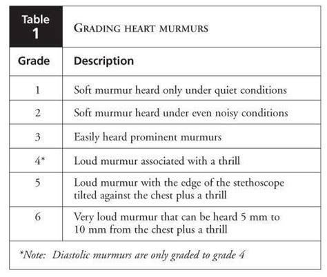 Grading Heart Murmurs Heart Murmur Nursing Fun Heart Disorders