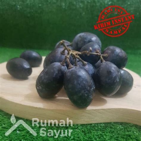 Jual Rumah Sayur Anggur Hitam Black Seedless Grapes 1 Kg Jakarta