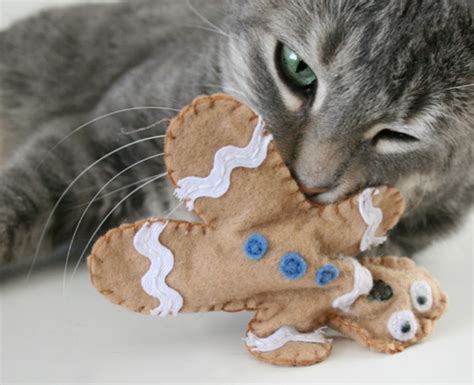 Fun And Easy Diy Cat Toys To Make For Your Favourite Feline