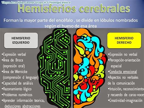Fisiolog A B Sica Hemisferios Cerebrales