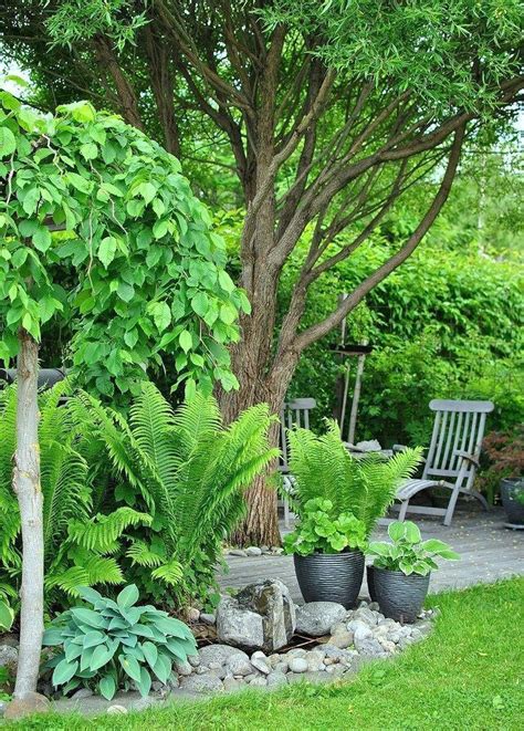 For starters, look at the area you want to plant: 30+ Simple Shade Garden Design Ideas Transform small ...