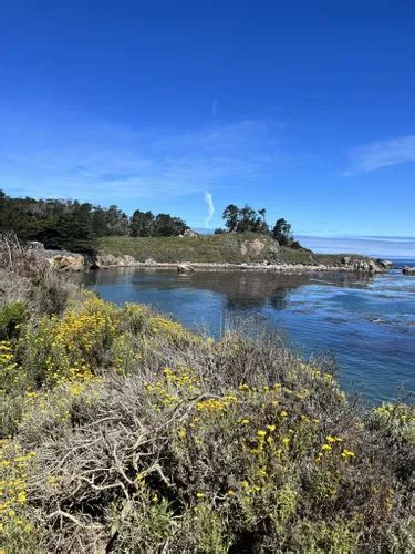 Best 10 Hikes And Trails In Point Lobos State Natural Reserve Alltrails