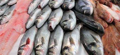 Wholesale Seafood Baltimore Maryland Mister Fish Inc