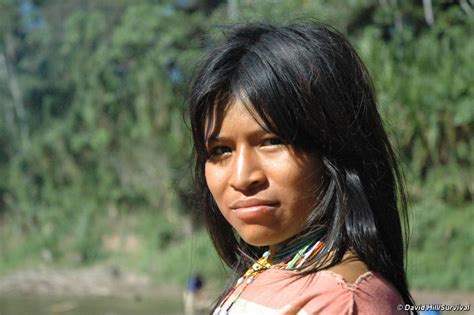 Concern Over Uncontacted Tribes Fleeing Loggers Survival International