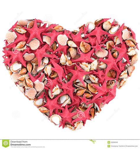 Heart Made Of Sea Shells Stock Photo Image 23299340