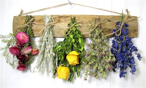 How To Air Dry Flowers