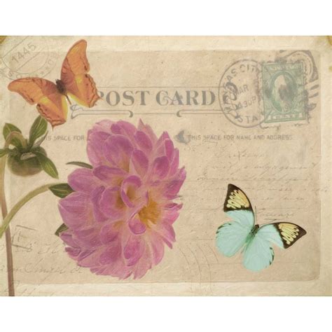 Vintage Butterfly Postcard Iv