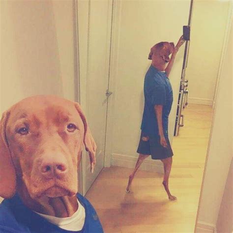 Funny Face Selfie Memes Dog Bread