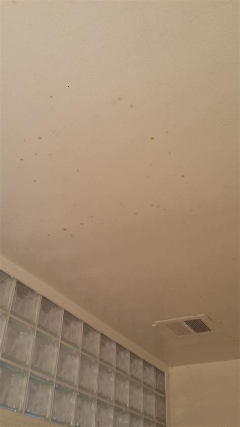 How To Kill Bathroom Mold On Ceiling - Bathroom Poster