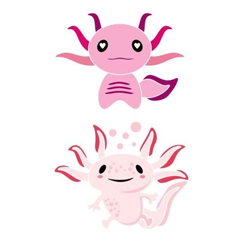 Axolotl Amphibians Cuttable Design SVG PNG DXF & eps Designs | Etsy