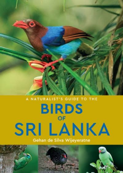 Birds Of Sri Lanka Helm Field Guide The Birders Store