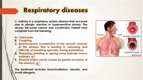 Rshi Respiratory System Health Information Medical Terminology Youtube