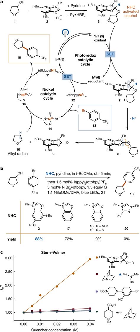 Proposed Mechanism And Nitrogen Heterocyclic Carbene Evaluation For