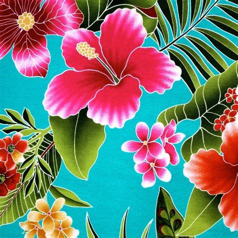 Awesome Hawaiian Flowers Wallpapers Top Free Awesome Hawaiian Flowers