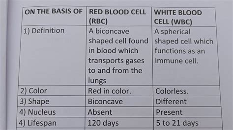 Difference Between Red Blood Cells And White Blood Cells Class Series