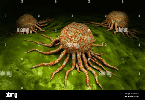 Microscope View Of A Virus Micropedia