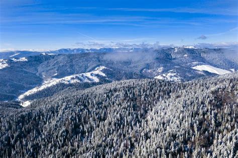 Aerial Scene With Frozen Trees In Sunny Winter Day Stock