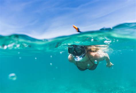 Turks And Caicos Dive Trips Original Diving Blog