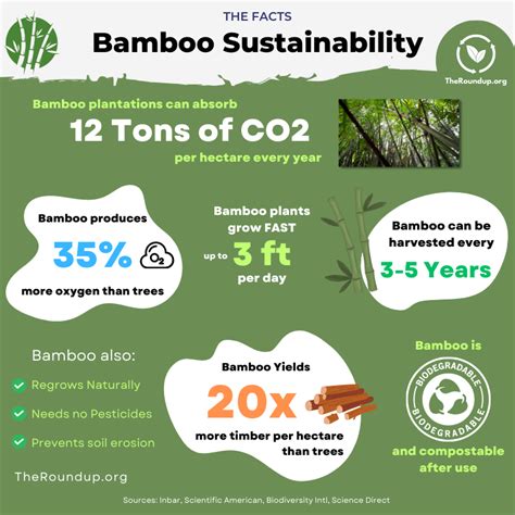 47 Surprising Bamboo Sustainability Facts And Statistics 2024