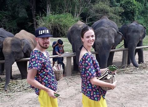 Photos Of Your Day Chiangmai Elephant Home