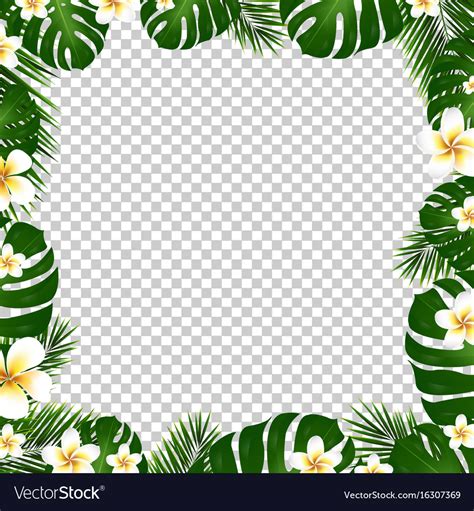 Border Palm Trees And Plumeria Royalty Free Vector Image