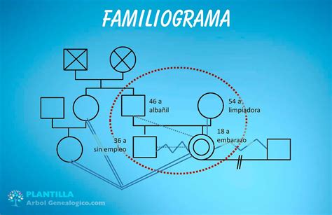 Partes Del Familiograma