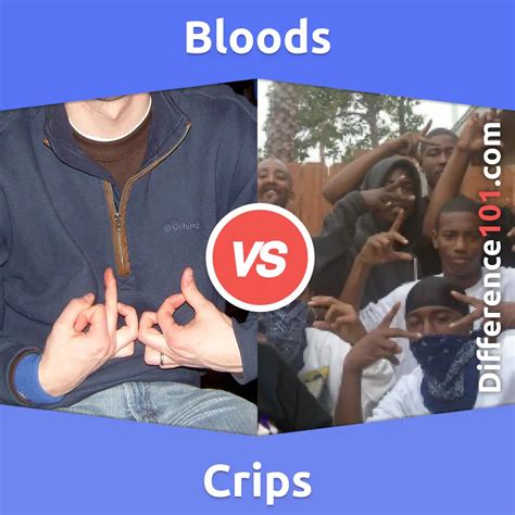 Bloods Vs Crips 7 Key Differences History Of Creation Population