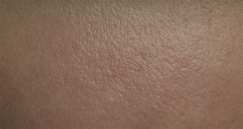 Realistic Skin Texture Map