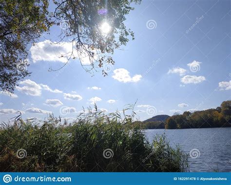 Scenery Pond Sky With Clouds Reeds And Grass Blue Blue Pond Lake