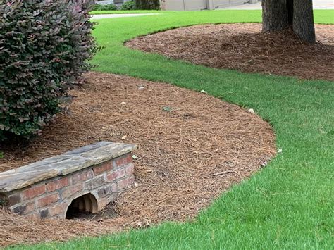 Pin By Rivers End Madison Ga On General Landscaping Ideas In 2021