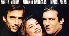 Enciclopedia del Cine Español: Una mujer bajo la lluvia (1991)