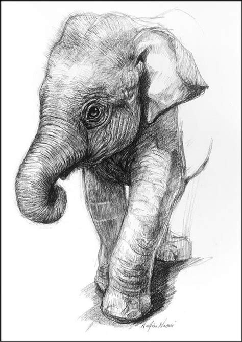Pencil Drawing Ideas Animals Heavy With Child Ejournal Picture Library
