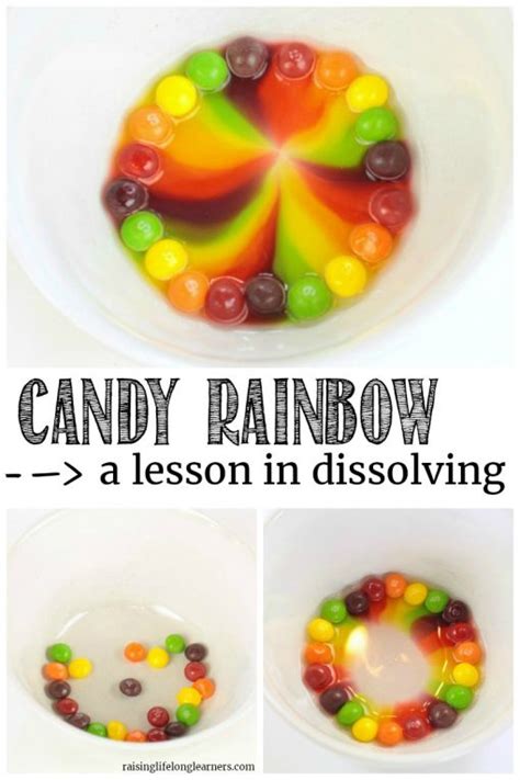 Skittles Rainbow Science Experiment Raising Lifelong Learners