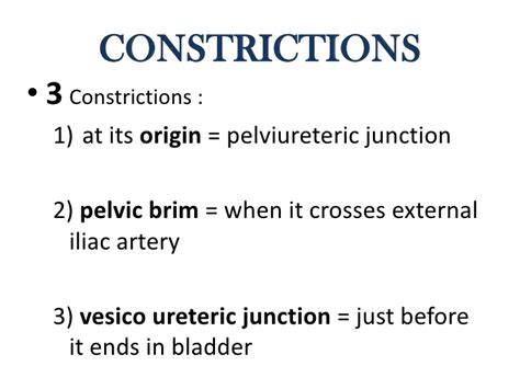 Constrictions Of Ureter Ureteric Stones Tend To Lodge At One Of