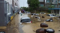韓國暴雨1個月狂淹水 非軍事區7km柵欄流失 地雷遭沖走｜東森新聞